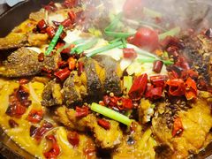 -老板恋上鱼(恒隆广场店)