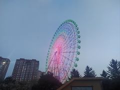 -万泉公园