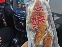 -宠福鑫康馨动物医院·骨科·眼科
