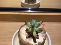 -德发长·花式蒸饺(大唐不夜城店)