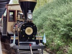 -雅达·阳羡溪山小镇中心