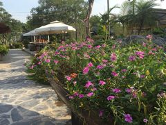 景观位-花溪雨·森林餐厅(石基店)