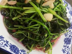 -协和菜馆(凤凰街店)