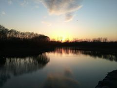 -大兴滨河森林公园