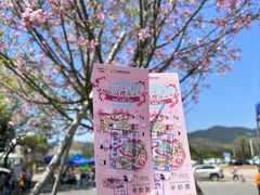 -天适樱花悠乐园