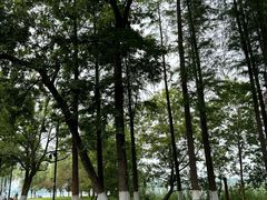 -东湖磨山景区