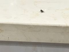 -张氏龙虾烧烤(延吉中路店)