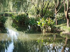 -杭州城北体育公园