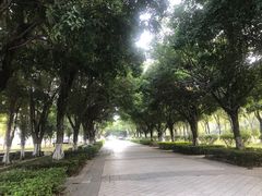 -华南师范大学(广州大学城校区)
