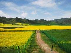 -扁都口生态休闲旅游区