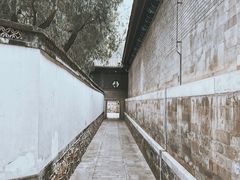 -颐和园