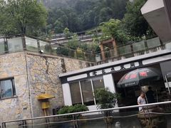 -老幺泉水鸡