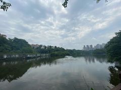 -重庆彩云湖湿地公园