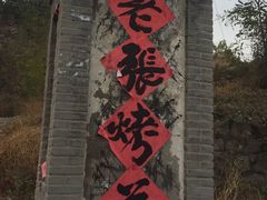 -老张烤羊(王哥庄店)