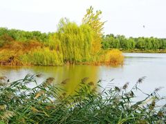 -东郊湿地公园