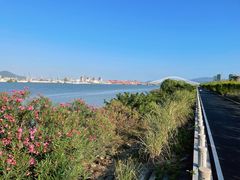 -芒洲湿地公园