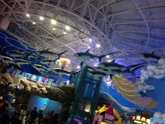 -烟台海昌鲸鲨海洋公园