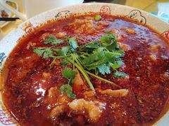 -陈麻婆豆腐总店