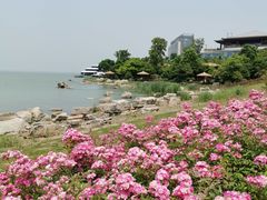 -新食谱全日制餐厅·苏州苏州湾艾美酒店