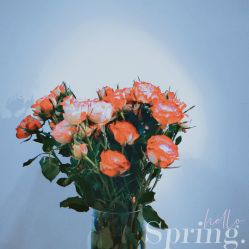 点击看大图 -谜秀韩式半永久纹眉纹绣洗眉