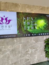 -阅年轻·AI家庭健康体质调理