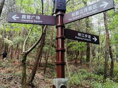 -铁山坪森林公园