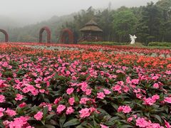 -广州市石门国家森林公园