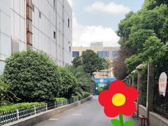 -曲阳花鸟市场(曲阳路店)