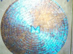 -上海昆虫博物馆