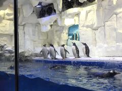 -华夏文旅海洋公园