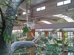 -南宫五洲植物乐园