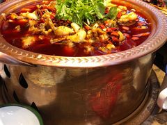 -沪小二炭火蛙锅(淮海中路美食不夜城店)