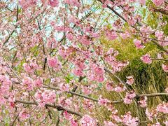 -武汉大学图书馆·文理学部总馆