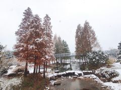 -无锡梅园公园