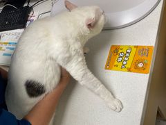 -瑞派康怡24h宠物医院·犬猫医疗中心·微创绝育(瑞景分院)