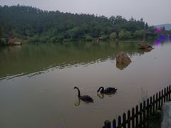 -南京银杏湖乐园