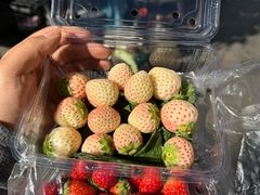 -南坛综合农贸市场