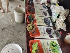 -马陆小张葡萄园农家乐