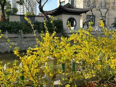 -圩墩遗址公园