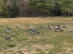 -宗角禄康公园
