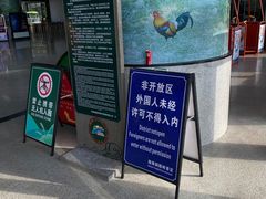 -海南铜鼓岭景区