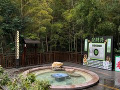 -天目湖涵田度假村