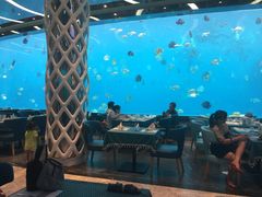 大堂-瑞德姆美人鱼海底演艺主题餐厅(亚龙湾店)