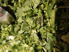 -水巷子·巴掌腰片重庆火锅(云纺店)