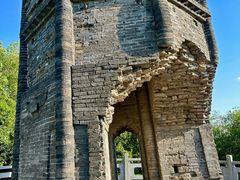 -上海佘山国家森林公园天马山园