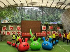 -铁山坪森林公园