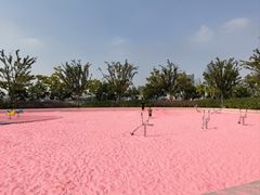 -上海山野camping·户外天幕烧烤·团建拓展营地