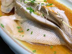 清蒸鲈鱼-小蓝鲸湖北菜(八一路店)