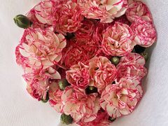 -循礼门鲜花花市(武汉循礼门店)