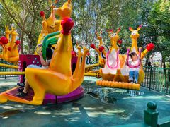 -长白岛森林公园